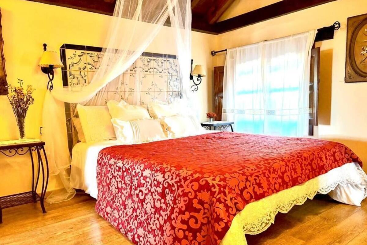 Une chambre à coucher avec un grand lit, une table de chevet, une lampe et une fenêtre avec des rideaux.