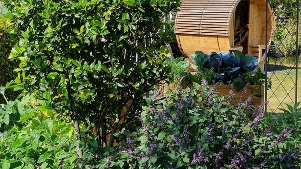 Ein Vogelhaus aus Holz mit geneigtem Dach und kleinem Eingang, umgeben von üppigem Grün und violetten Blüten.