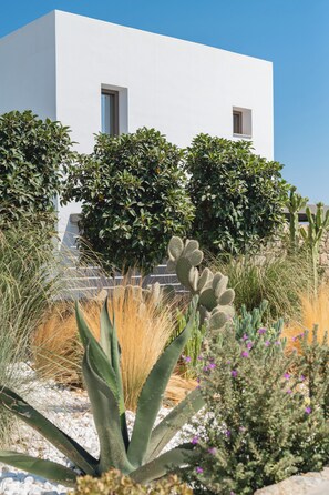 Unclassified image, 5 of 28, button