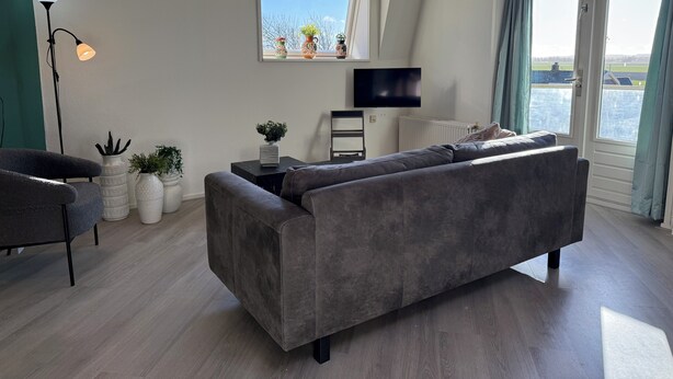 Een moderne woonkamer met een grijze bank, een vloerlamp en een tv op een witte dressoir. Er staan potplanten en een raam met uitzicht op het buitengebied.
