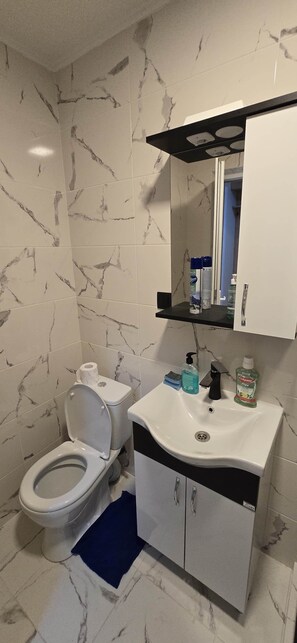 Shower, hair dryer, towels, toilet paper - Comfort place (Batumi)