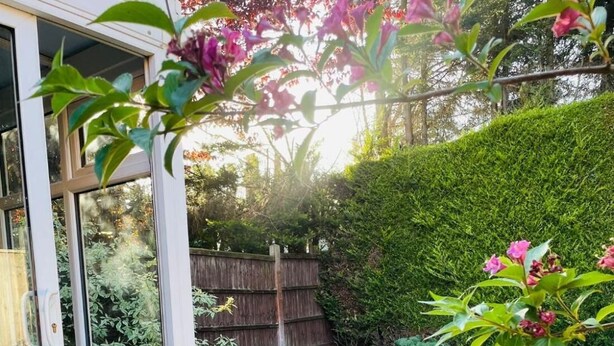 A well-maintained garden with a lawn, a wooden fence, and a variety of plants and flowers. - use With Modern Comforts (Nottingham)