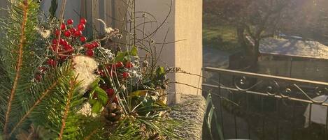 Terrain de lâhĂ©bergement