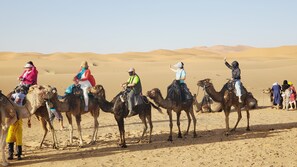 A group of people riding camels in a desert setting. - Ksar Merzouga Luxury Camp (Merzouga)