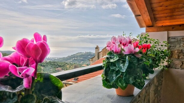 Un balcone con piante in vaso e vista sul paesaggio costiero.