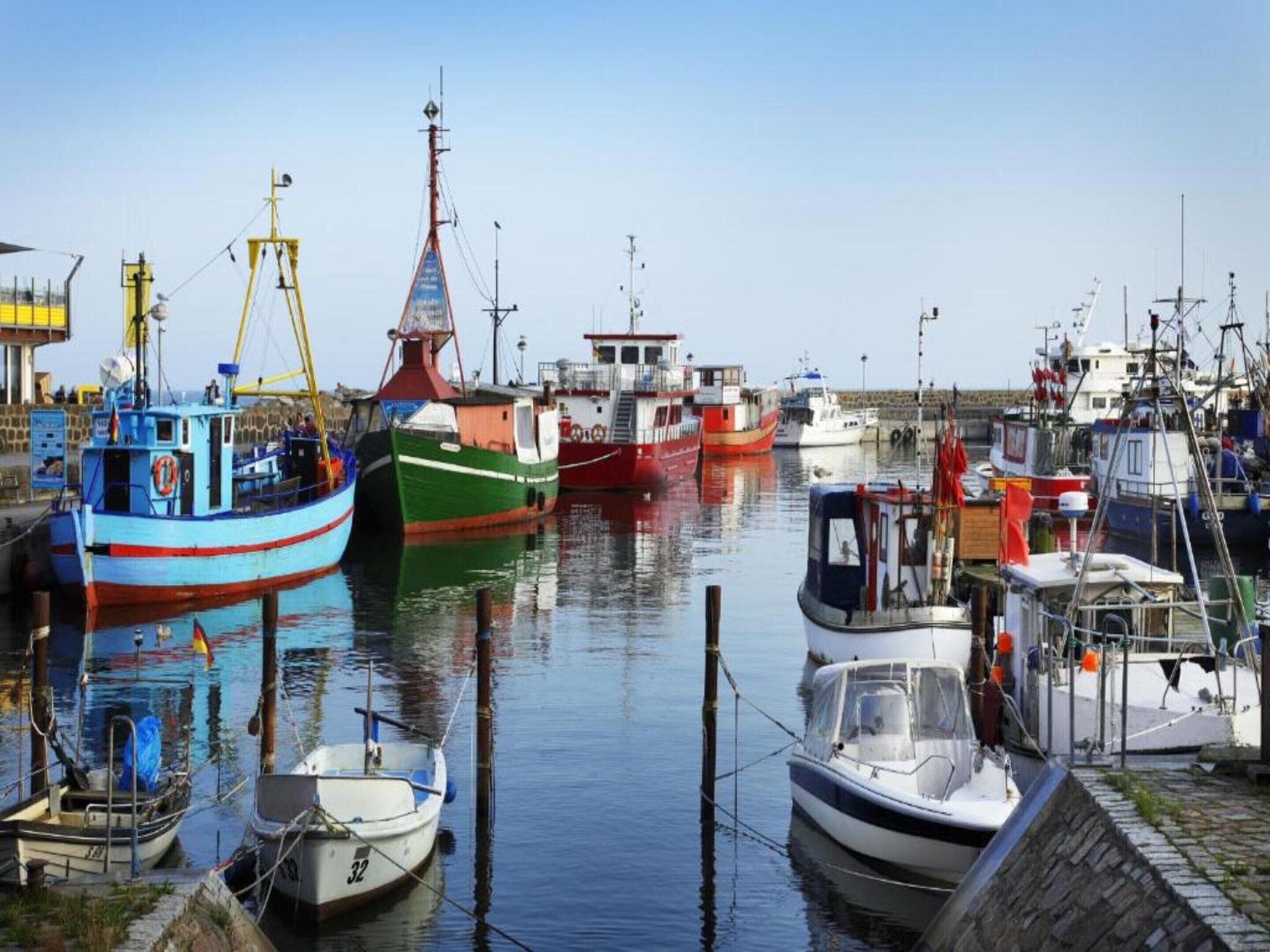Vista desde la propiedad