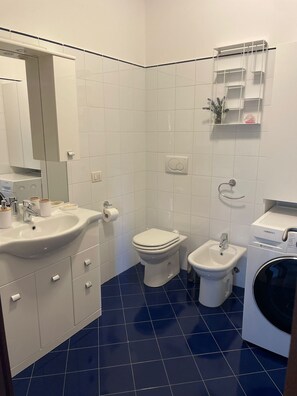 Suihku, hiustenkuivaaja, bidee, pyyhkeet