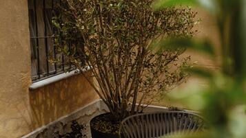 Un espace extérieur aménagé avec une table et des chaises, entouré de plantes en pot et d’un petit jardin.