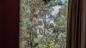 A room with a view of dense foliage and trees through a window.
