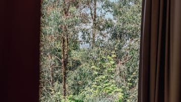 Suite (Tourterelle) | Woonruimte | Flatscreentelevisie, Netflix, streamingdiensten en een printer