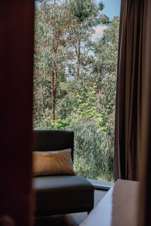 Suite (Tourterelle) | Living area | Flat-screen TV, Netflix, streaming services, printers