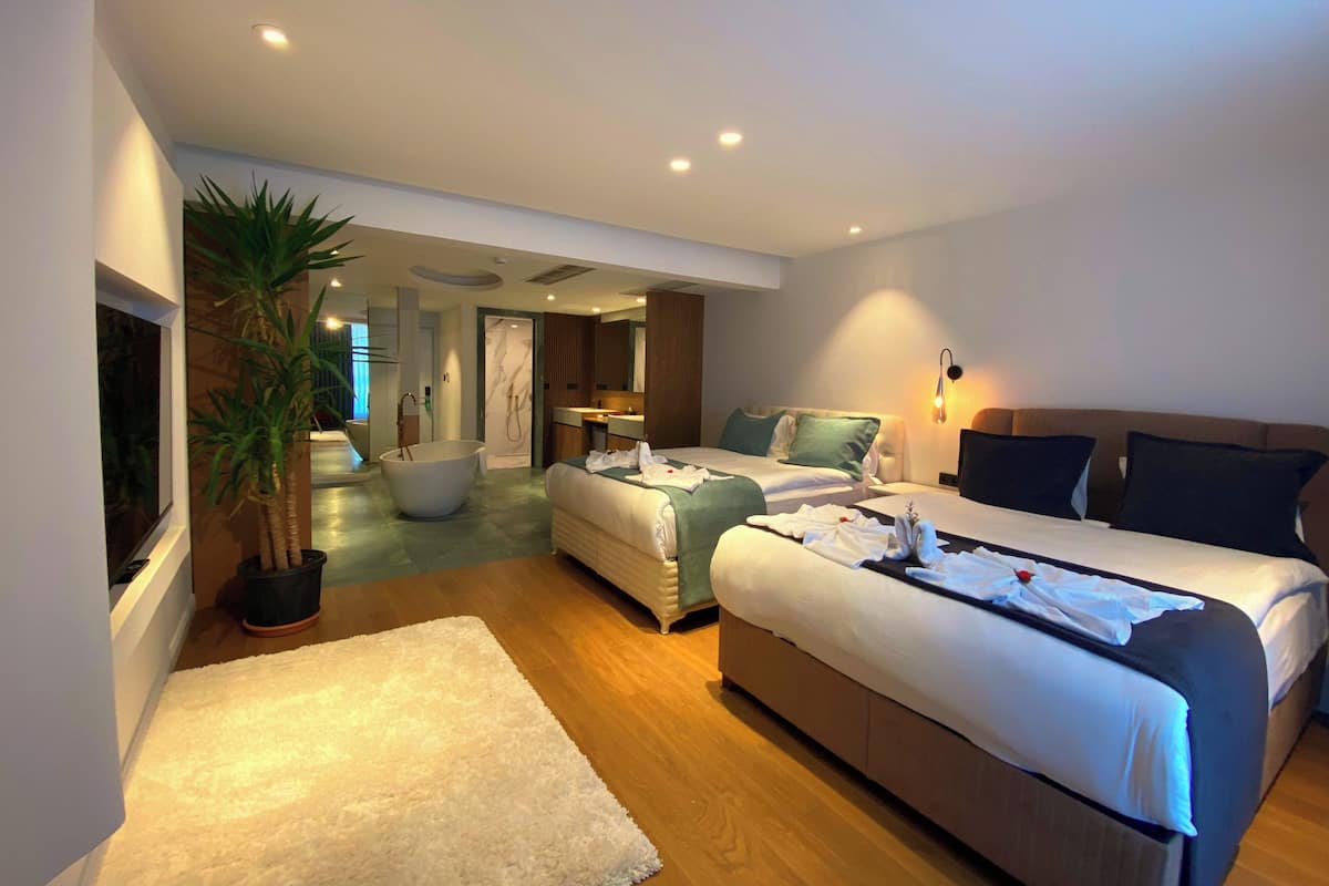 Chambre quadruple Deluxe | Articles de minibar gratuits, accès au Wi-Fi (inclus), literie fournie