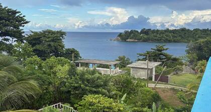Perfect View - Entire House