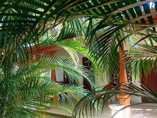 Property grounds - Keerthi Homestay (Sigiriya)