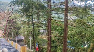 A staircase leading up to a building surrounded by tall trees and a flag.