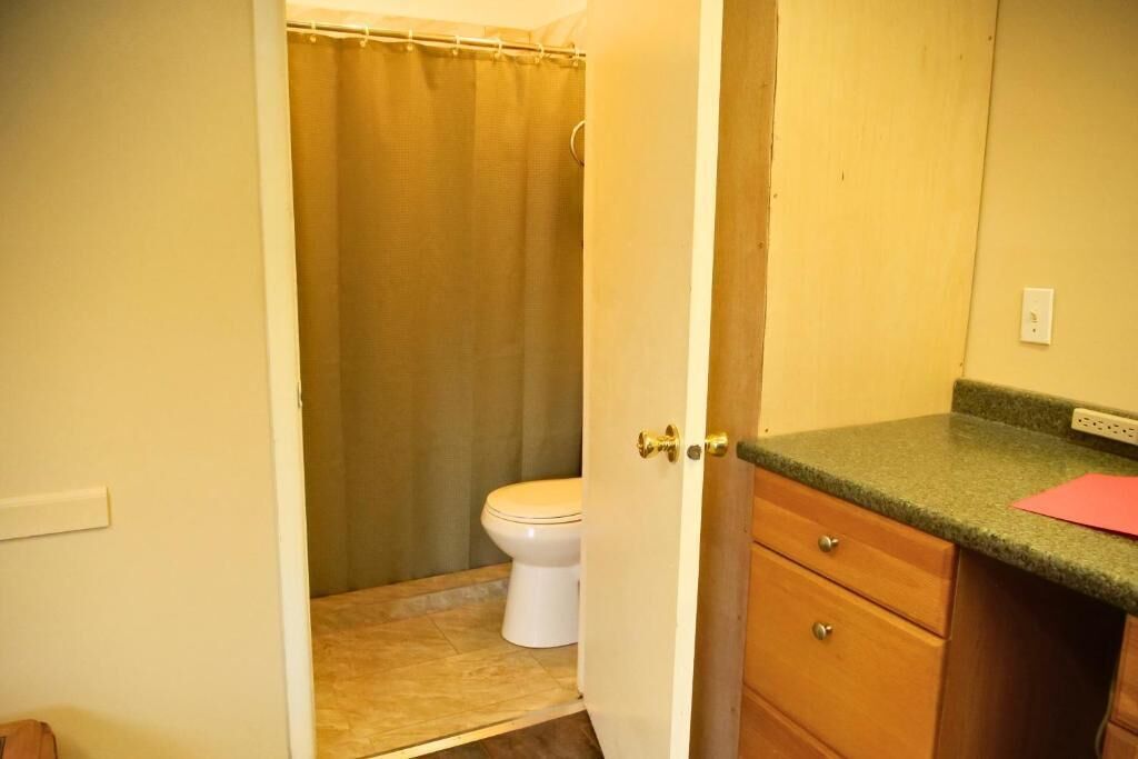 A bathroom with a toilet, shower curtain, and wooden cabinets.
