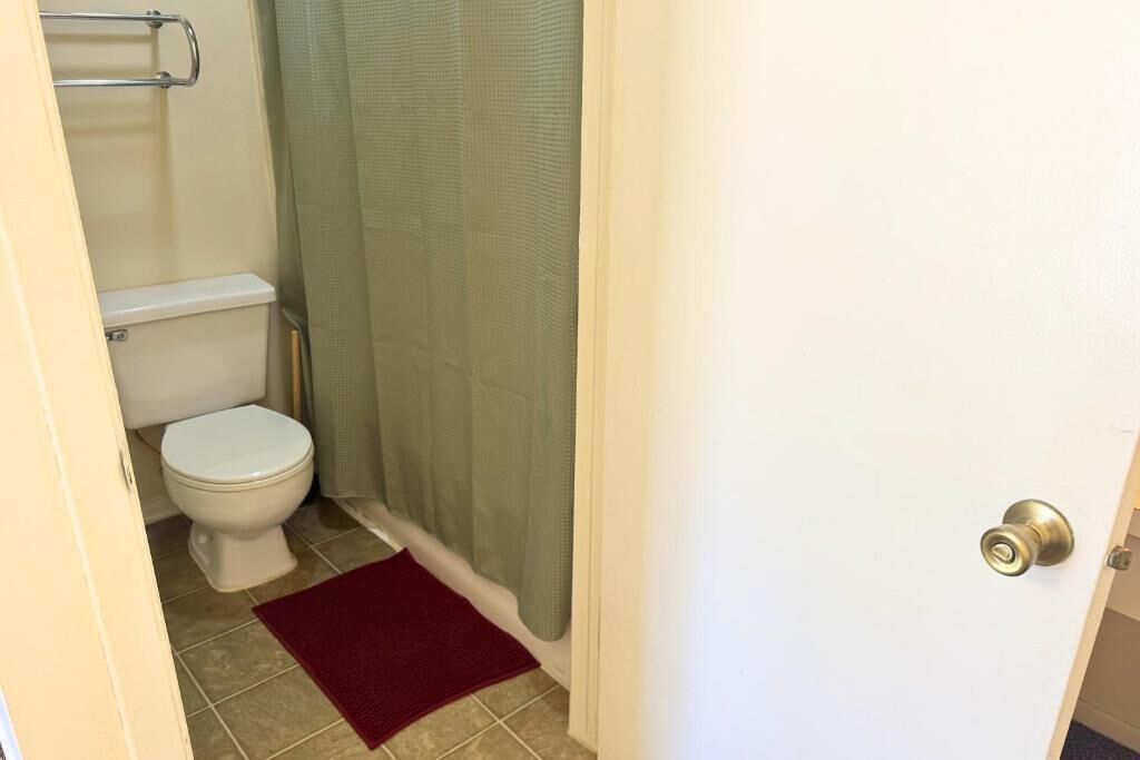 A bathroom with a toilet, a shower curtain, and a red bath mat.