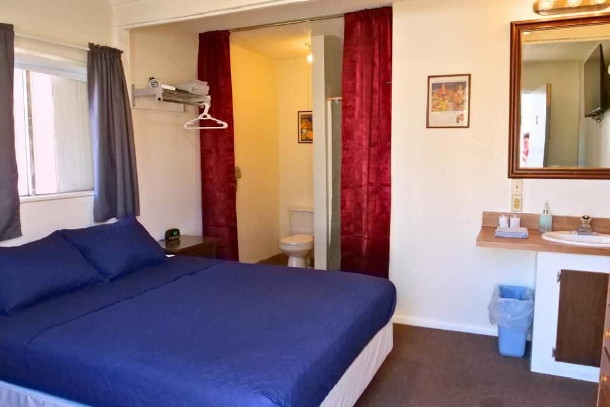 Un dormitorio con una cama grande, un baño con inodoro y ducha, y un tocador con espejo.