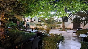 An outdoor dining area with tables and chairs, surrounded by lush greenery and a stone wall.