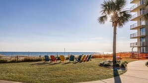 Un'area verdeggiante con poltrone Adirondack colorate rivolte verso una spiaggia, una palma e un edificio con balconi.
