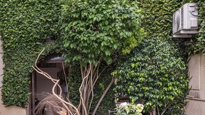 A building with a green ivy-covered exterior, a visible doorway, and an air conditioning unit. - Tenuta San Giovanni Alloro (lucca)