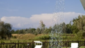 Una fuente de agua con cielo despejado y follaje al fondo.