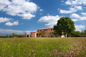 Exterior - Tenuta San Giovanni Lavender (Lucca)