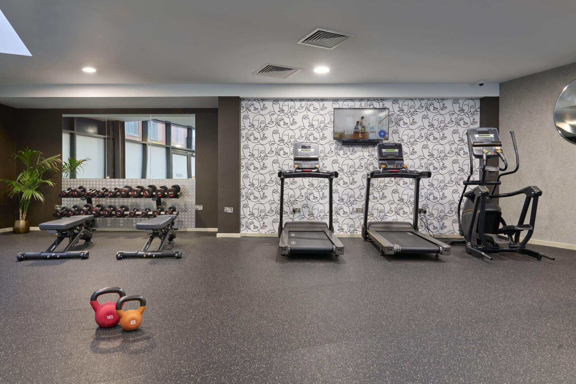 A gym with treadmills, elliptical machines, a bench press, dumbbells, and a kettlebell.