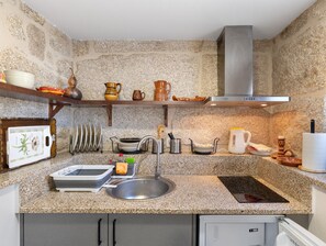 Fridge, microwave, oven, stovetop - Apartment 'Vinha Da Touça T0' with Mountain View, Wi-Fi and Air Conditioning (Soajo)