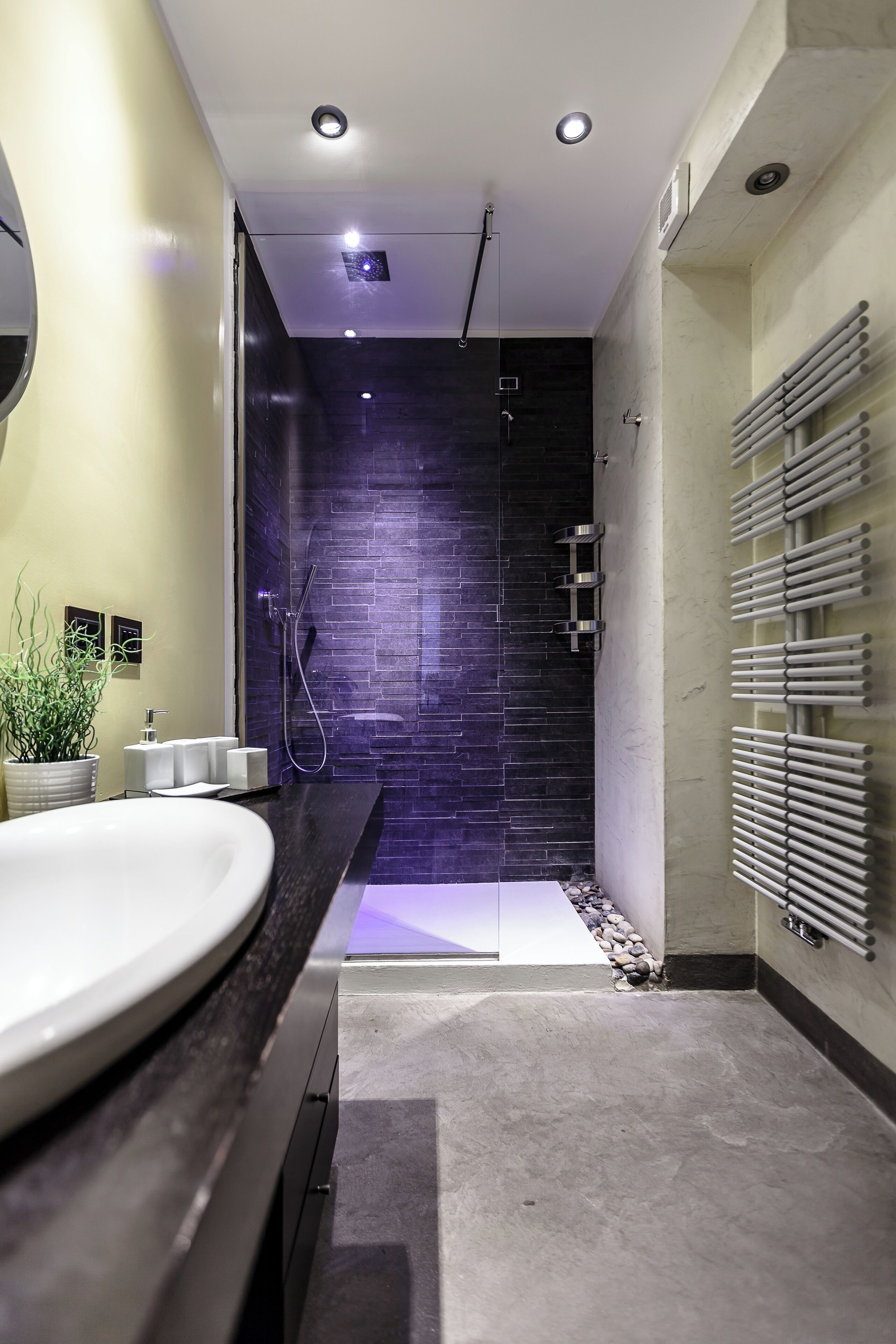 Hair dryer, towels, toilet paper