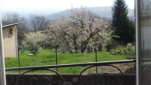 A view from a window with a metal railing, overlooking a garden with blooming trees and a distant landscape.