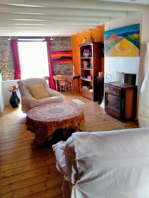 TV, DVD player, books - House 2 pers Volvic parc des Volcans, shady garden. Comfortable 70 m² . (Volvic)