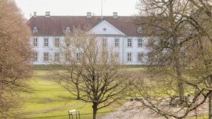 Uklassifisert bilde, 4 av 195, knapp