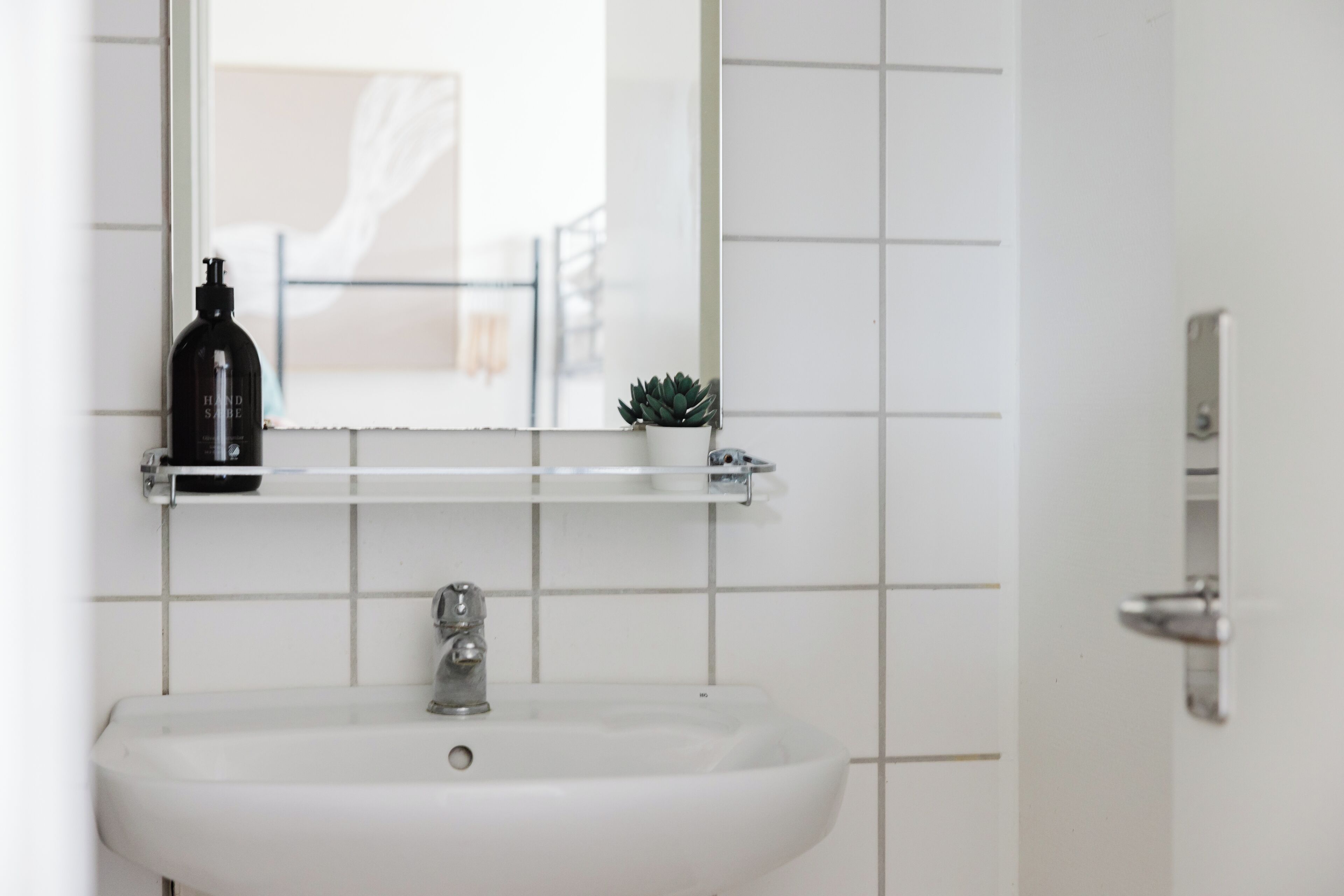 A bathroom with a white sink, a mirror, a shelf with a plant and a bottle, and a door.