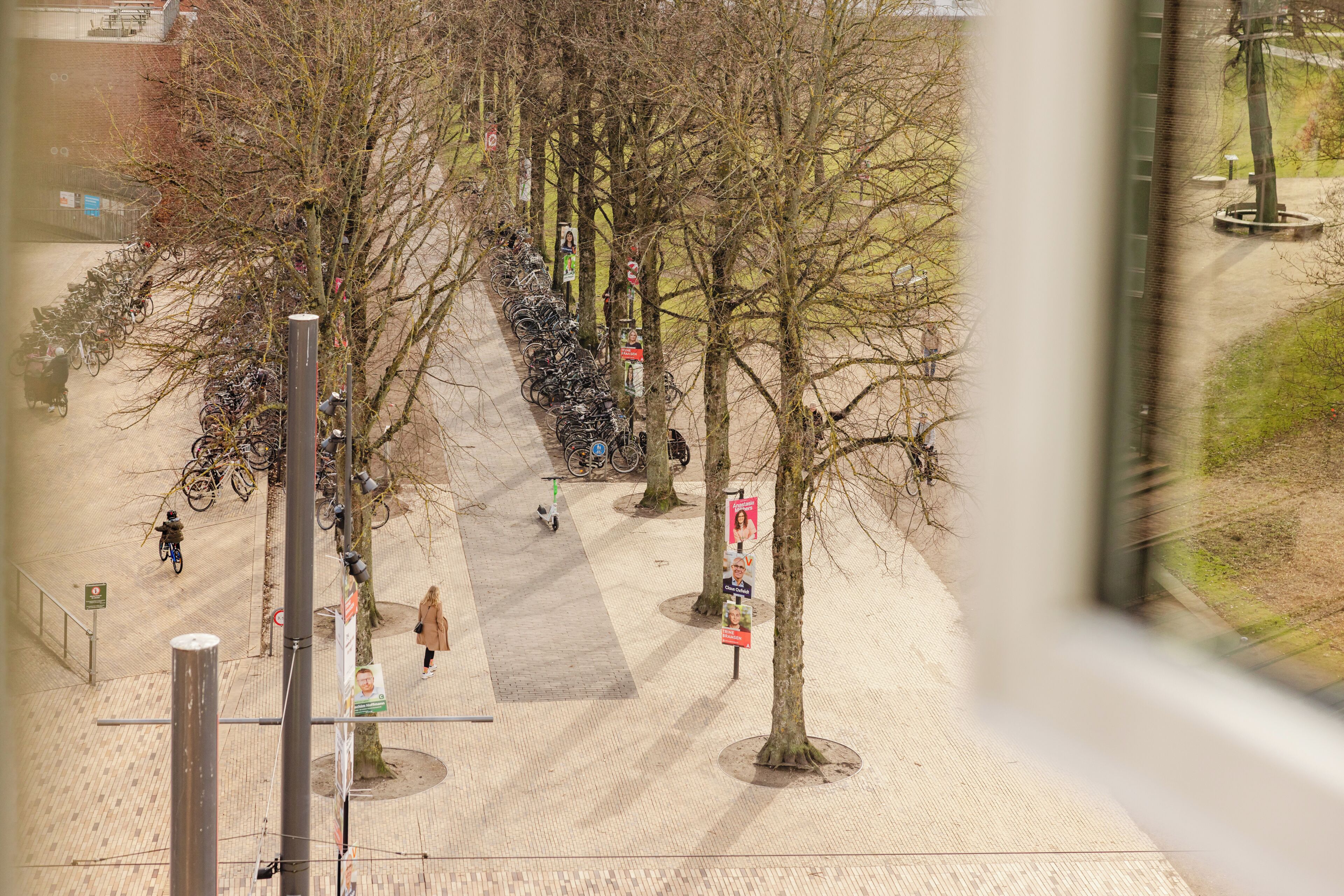 A pedestrian walkway lined with trees and bicycles parked on the side.