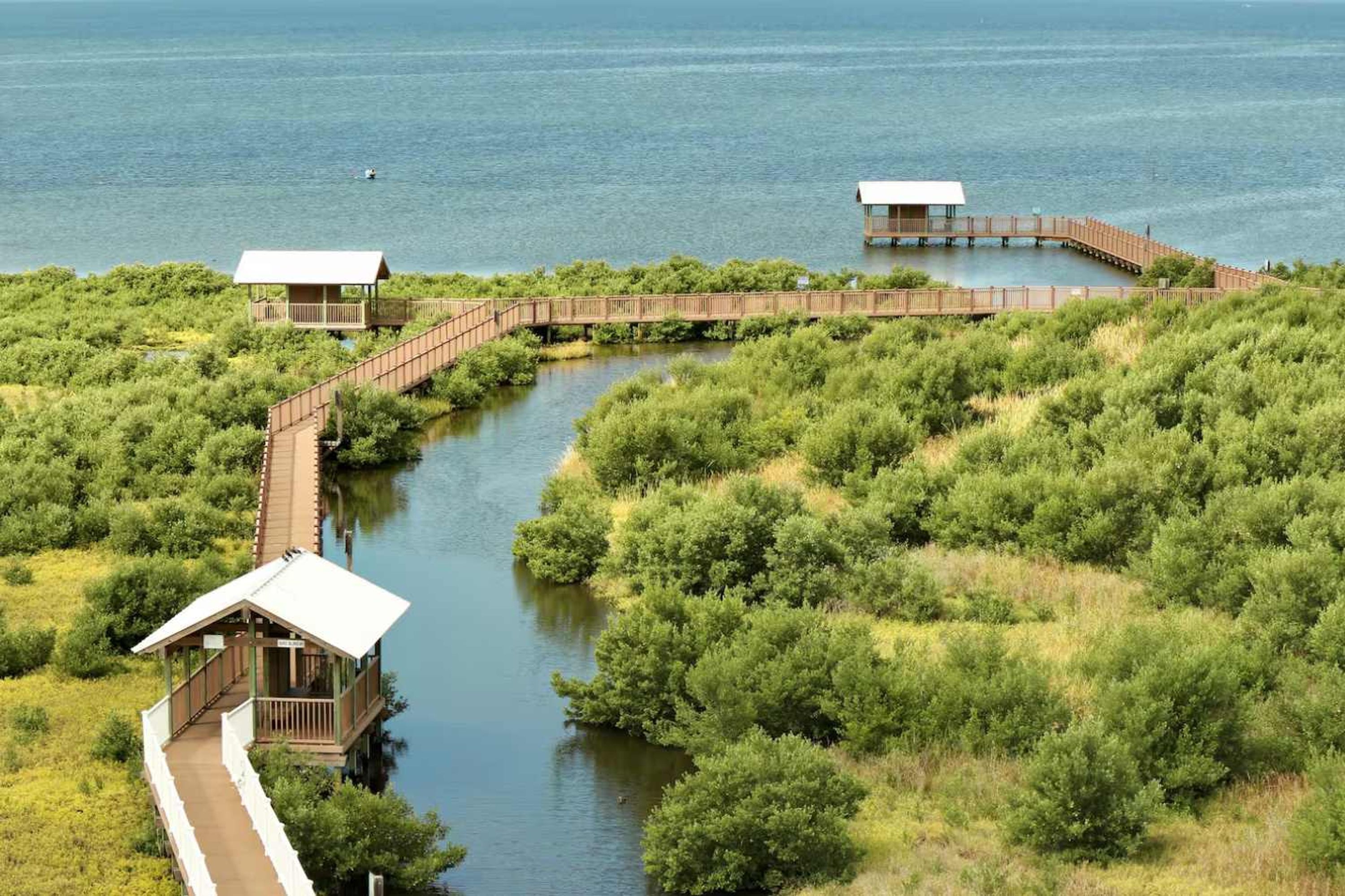 Una estructura de madera con un paseo techado sobre una masa de agua, rodeada de abundante vegetación.