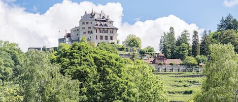 A castle-like building surrounded by lush greenery and terraced fields.