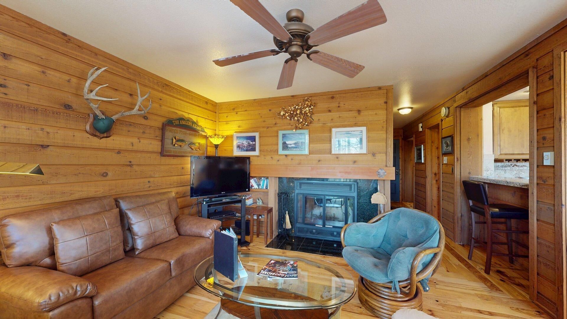 Smart TV, fireplace, books