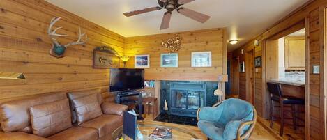 TV connectée, cheminée, livres