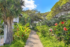 Property grounds - KP241-2bdrm-Beach Access-Gym-Pool (Koloa)