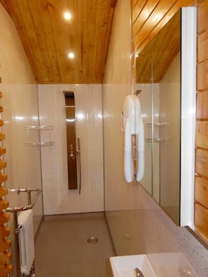 Shower, hair dryer, towels, soap