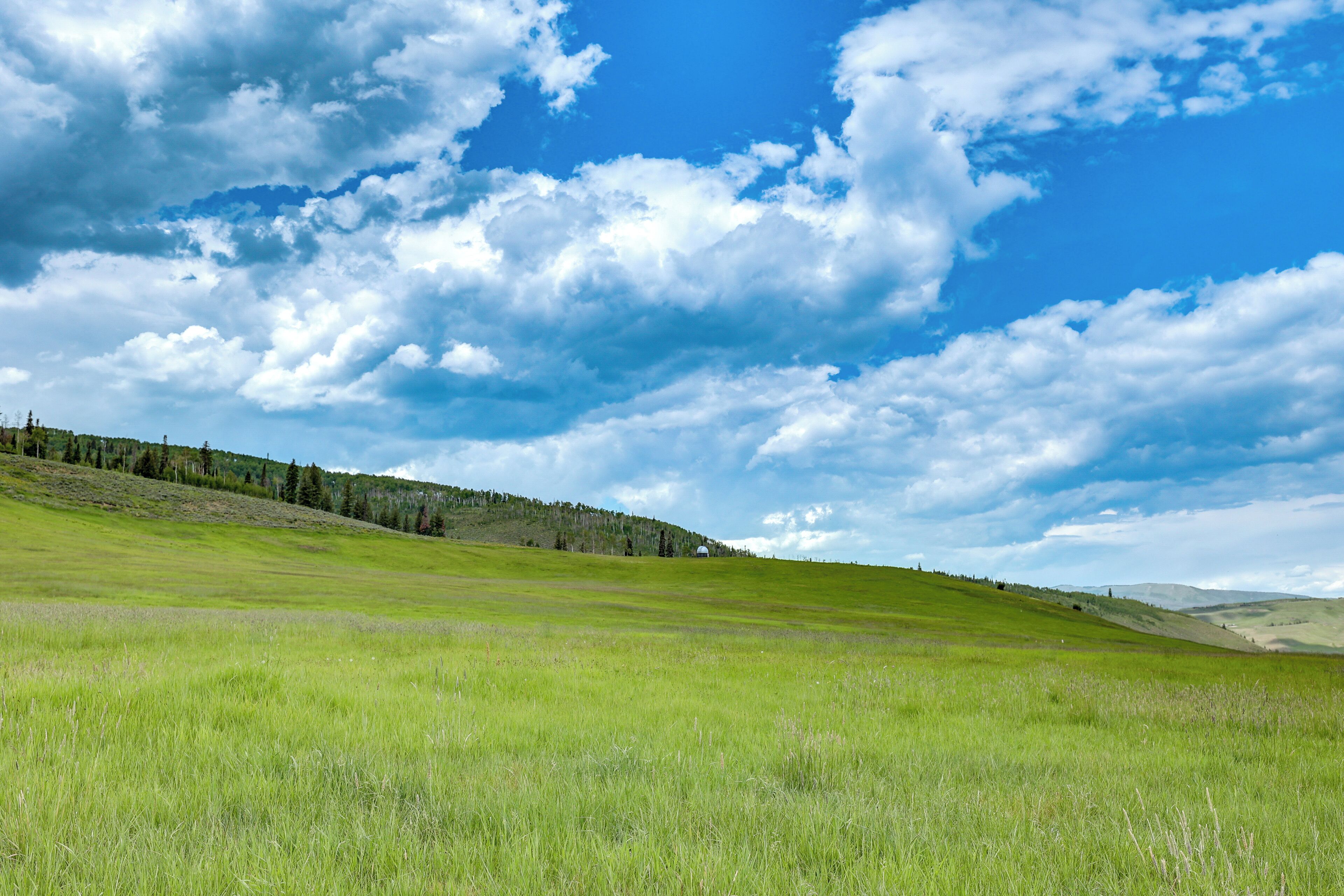 Un extenso campo cubierto de hierba con un cielo azul despejado y nubes dispersas.