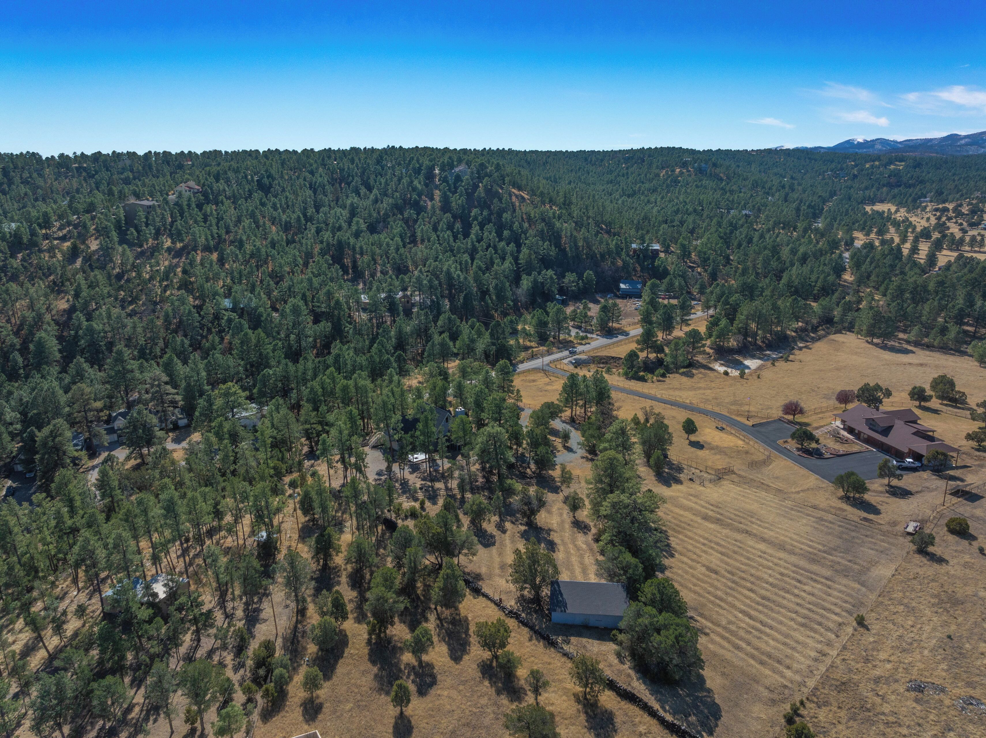 An aerial view of a rural area with scattered houses, a road, and a mix of forested and open fields.