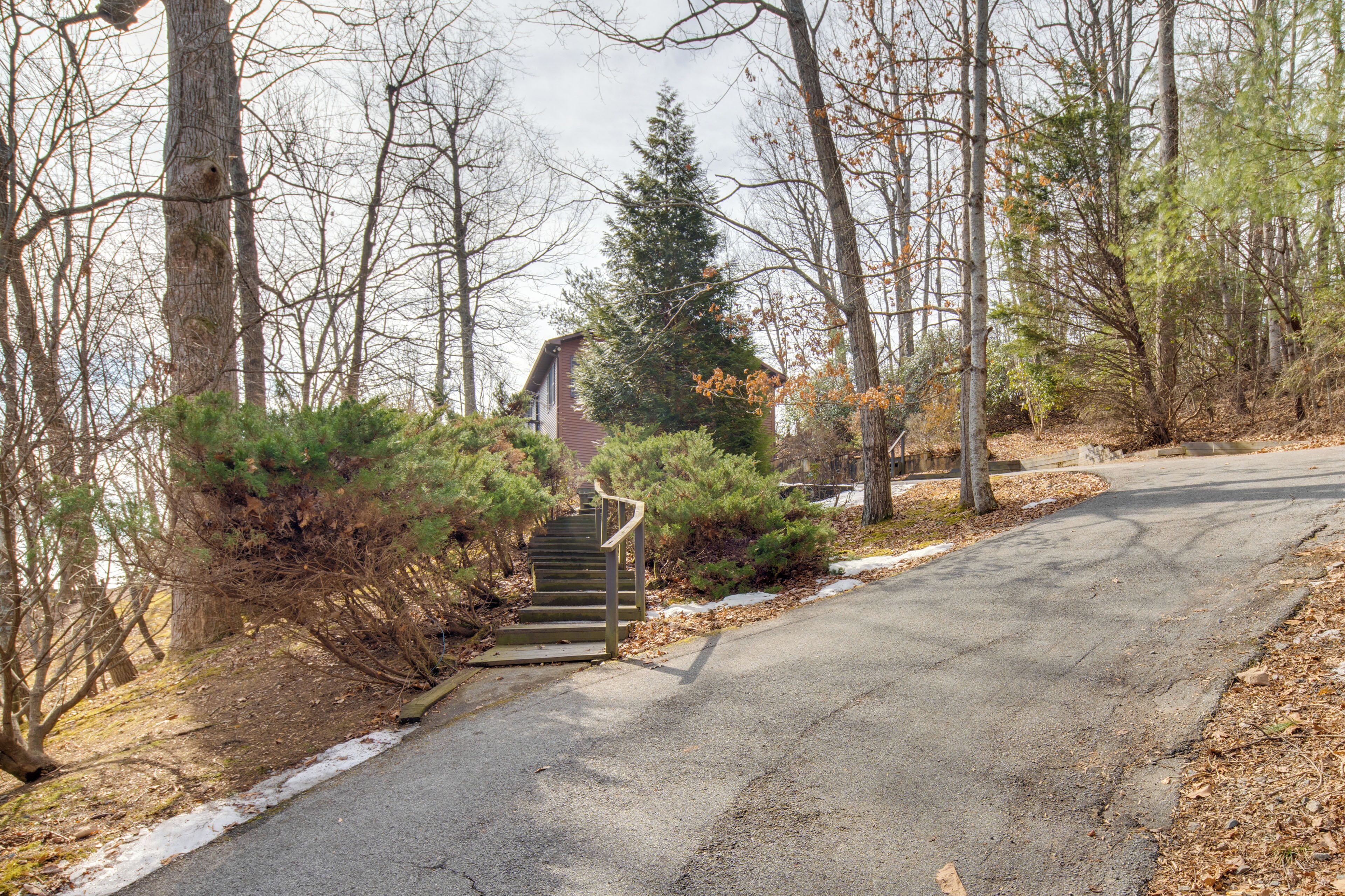 A residential driveway with a staircase leading to a house, surrounded by trees and shrubs.