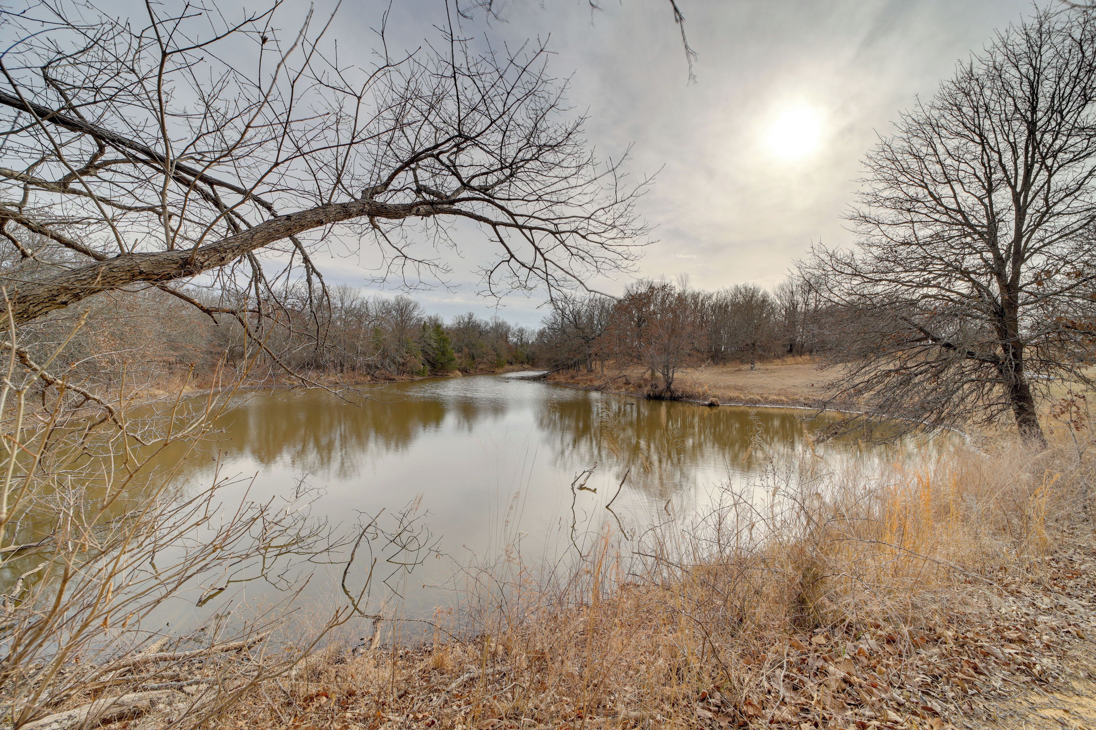 A calm river with bare trees and a clear sky.