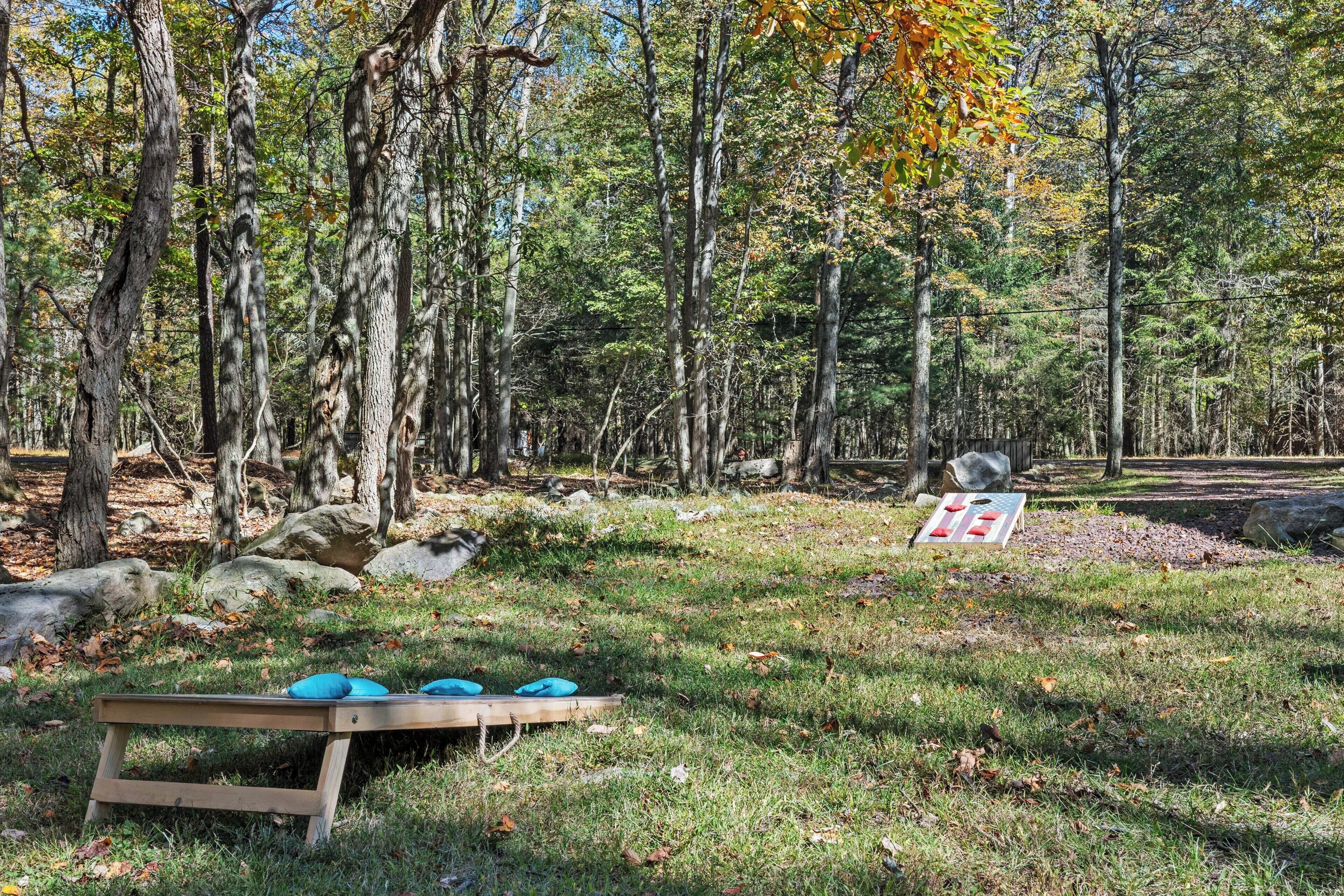 A forested area with a wooden bench and a target game setup.