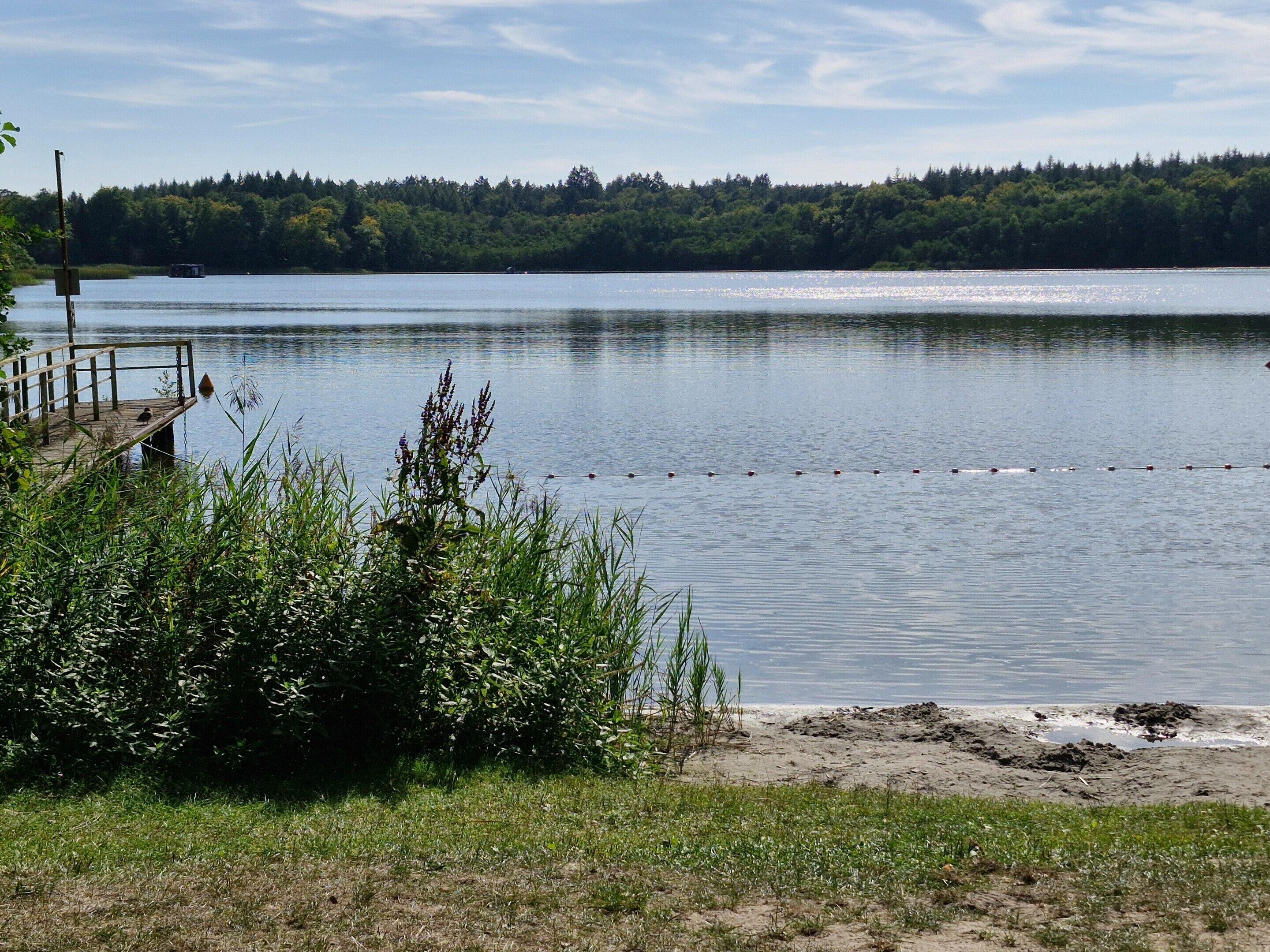 En stilla sjö med en brygga och en tät skog i bakgrunden.