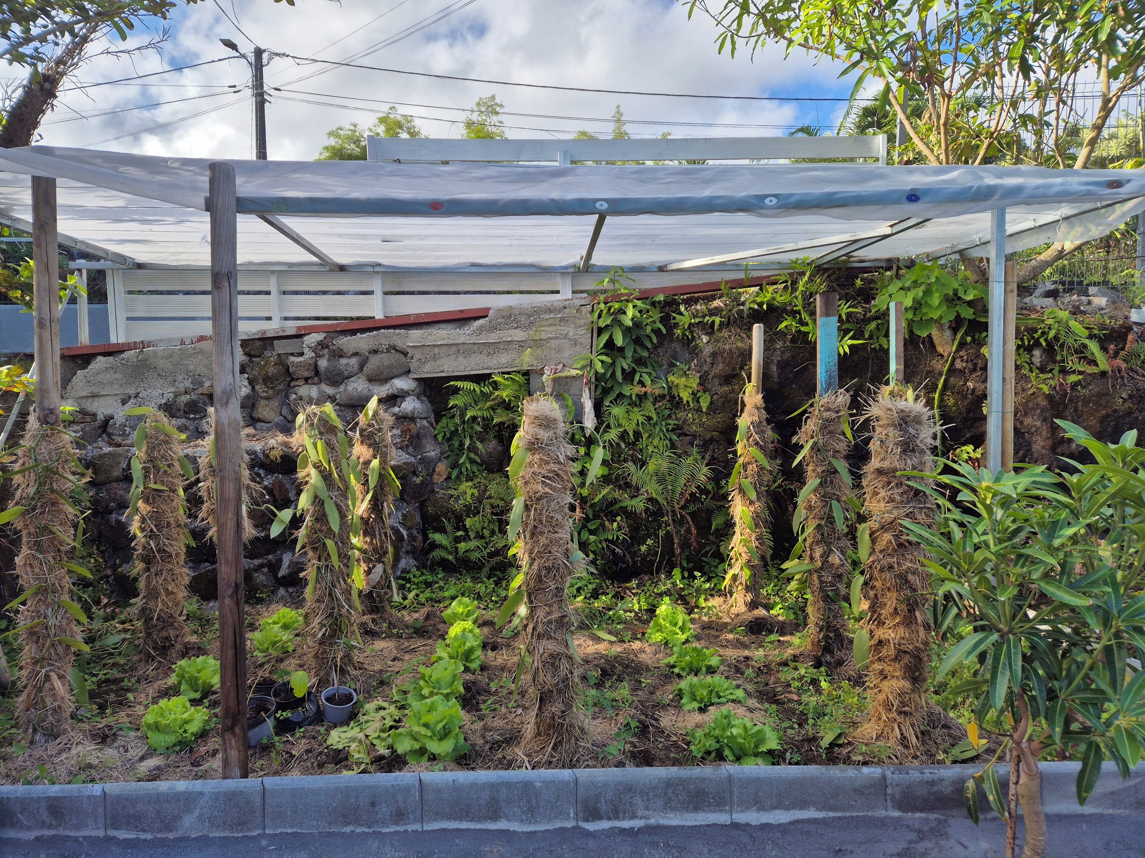 Enceinte de l’hébergement