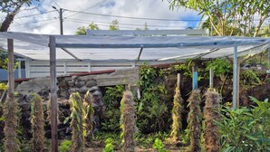 A garden with various plants and a stone wall. - Chalet les planifolias, landscaped garden, access to numerous paths, sea and mountains. (Saint-Philippe)