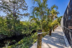 Property grounds - Manatees, kayaks, bikes, heated pool & canal, 4 min to the beach, 4 BR.  Luv it! (Bonita Springs)
